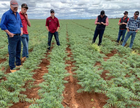 Sustainable No-Till Farming NSW