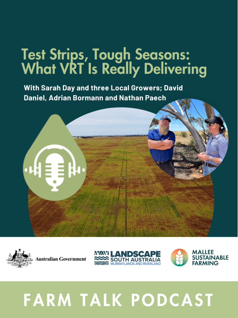 Test Strips, Tough Seasons: What VRT Is Really Delivering